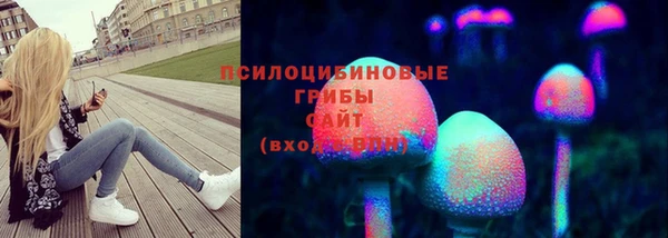 синтетический гашиш Бородино