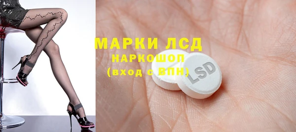 амф Богданович