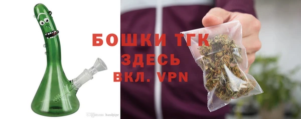гидра Бронницы
