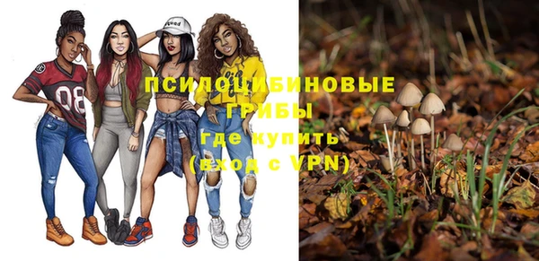 СК Белокуриха