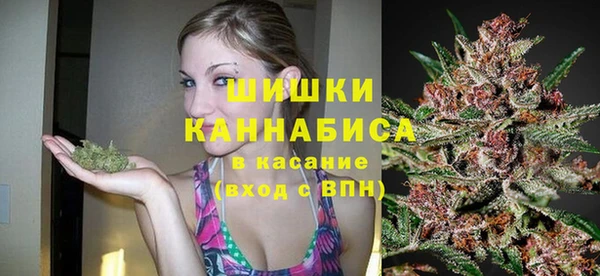 шишки Бугульма