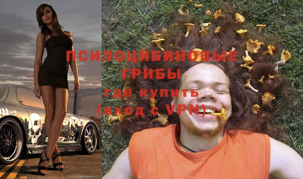 шишки Бугульма