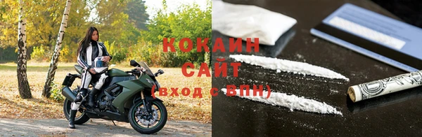 амф Богданович