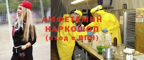 гидра Бронницы